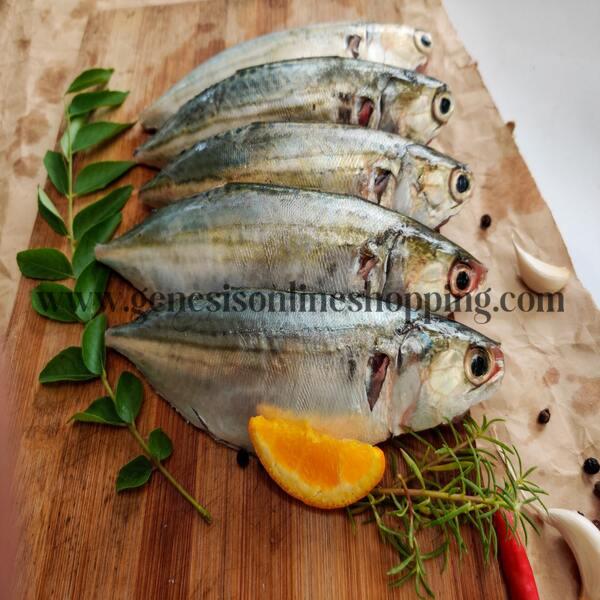 Buy AYALA / MACKEREL FISH online in Trivandrum